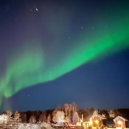 Etto At The Arctic Circle * Rovaniemi