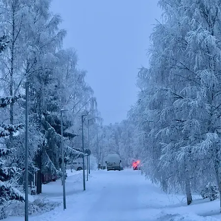 Etto At The Arctic Circle